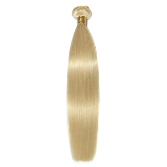 Indian Remy Straight 613